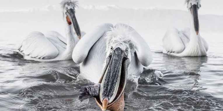 https_cdn.evbuc.comimages502282901187505666371original